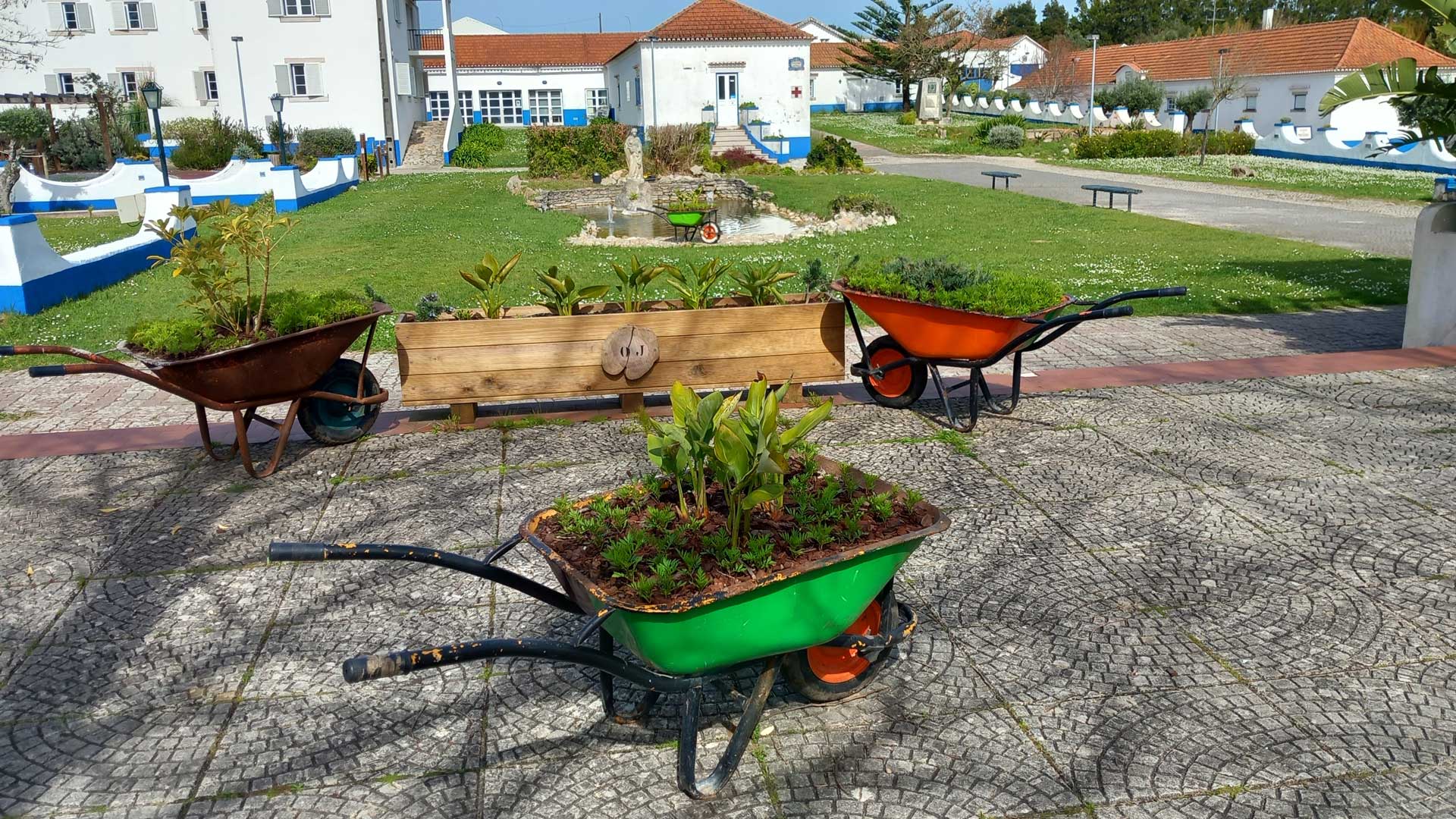 pequeno jardim num carrinho de mão