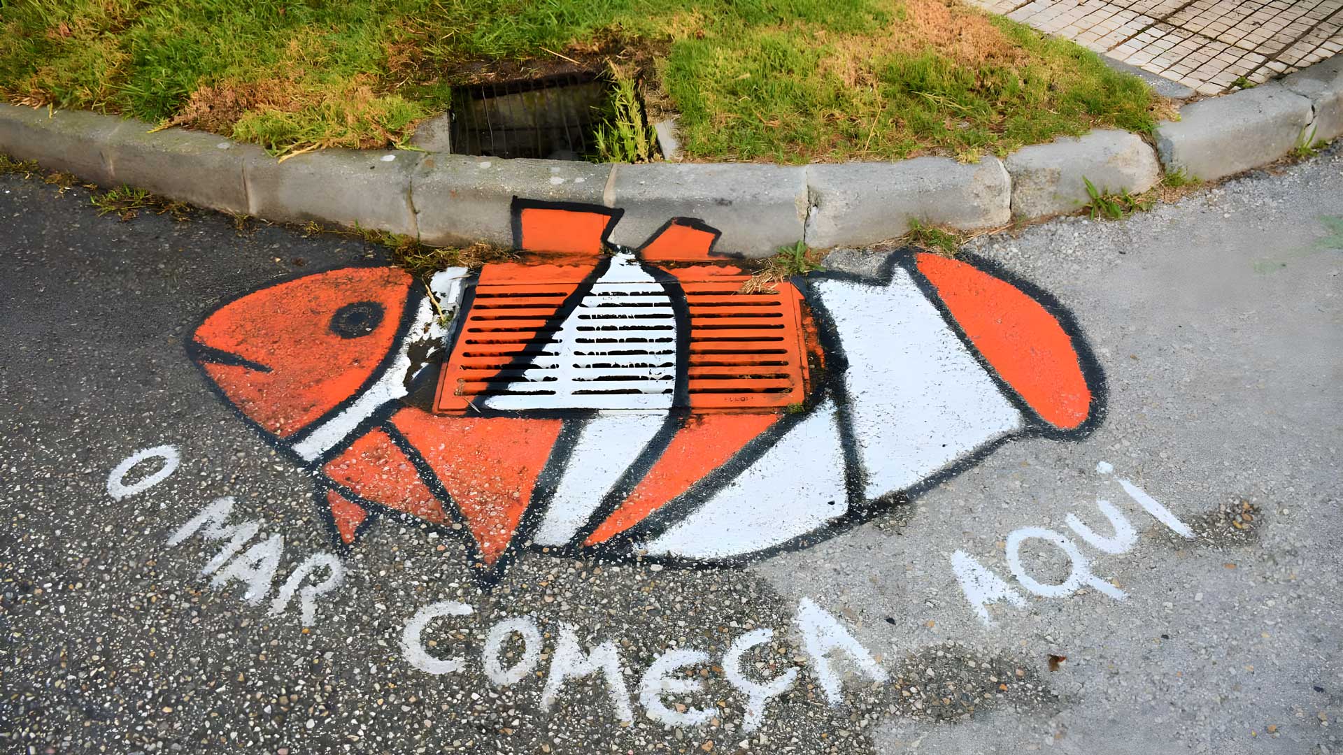 Pintura de peixe no chão junto a sarjeta, com a frase "o mar começa aqui"