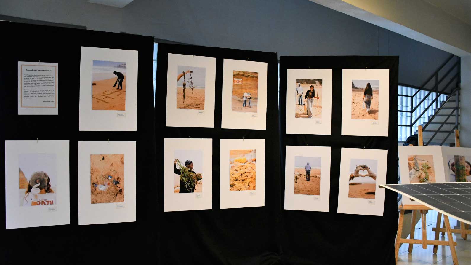 bandeira-verde-05 Quadros expostos na exposição “Mar e Sustentabilidade”