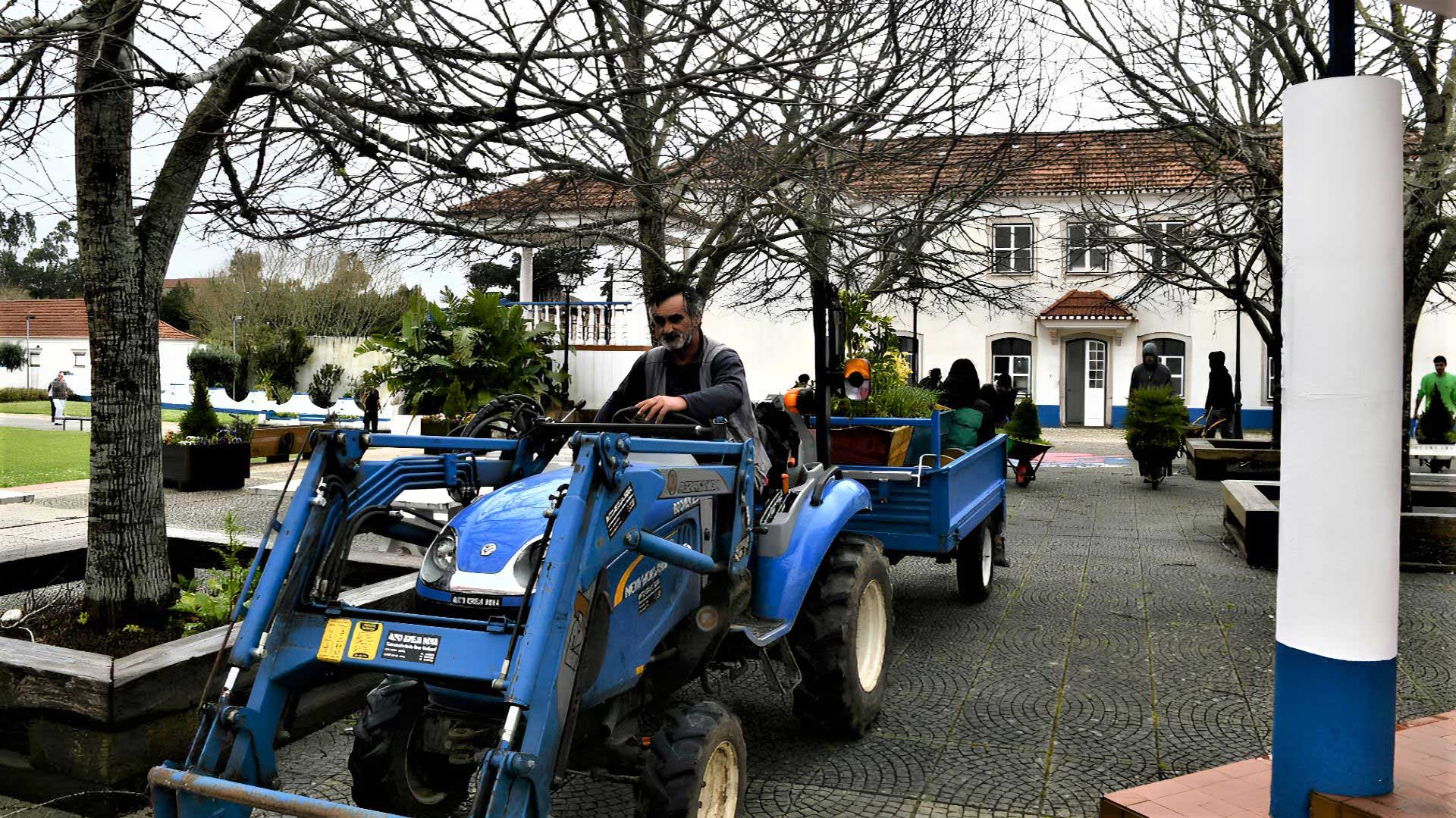 Trator carrega canteiros com flores